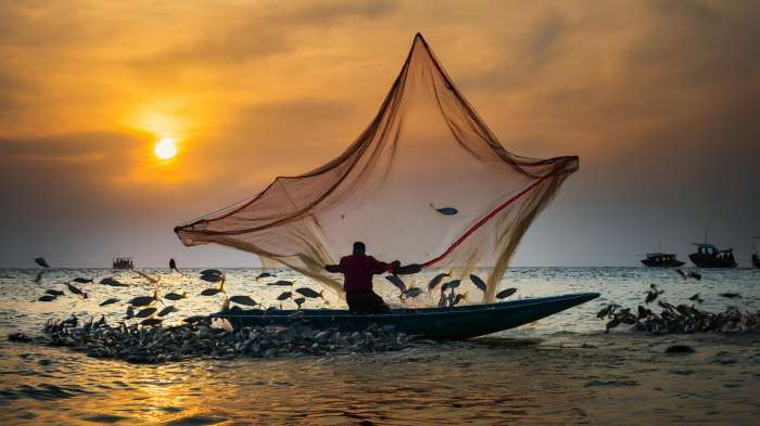 A Grande Pesca: Lições de Obediência e Missão